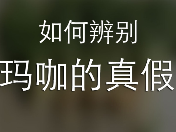如何辨别玛咖的真假