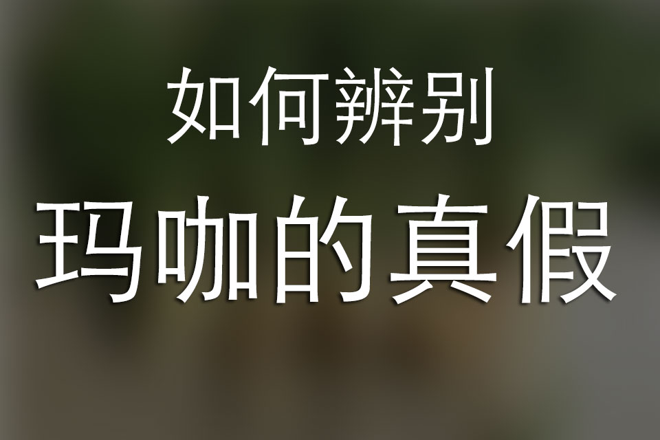 如何辨别玛咖的真假